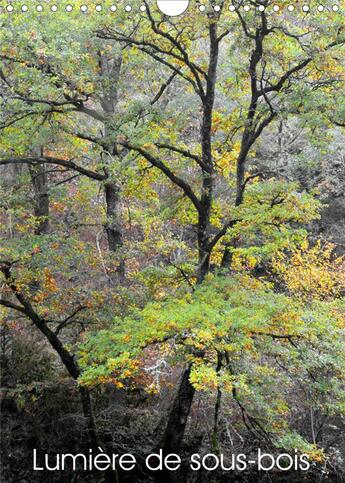 Couverture du livre « Lumière de sous-bois (édition 2020) » de Thebault Patric aux éditions Calvendo