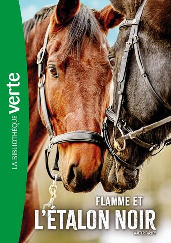 Couverture du livre « L'étalon noir Tome 17 : Flamme et l'Étalon noir » de Walter Farley aux éditions Hachette Jeunesse