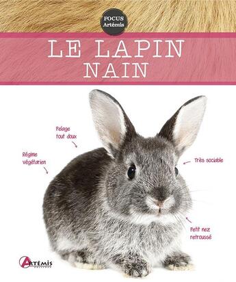 Couverture du livre « Lapin nain » de  aux éditions Artemis