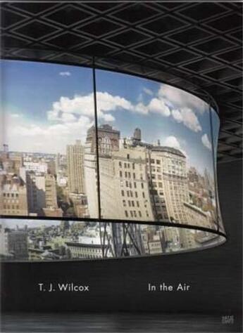 Couverture du livre « T. j. wilcox in the air » de Iles aux éditions Hatje Cantz