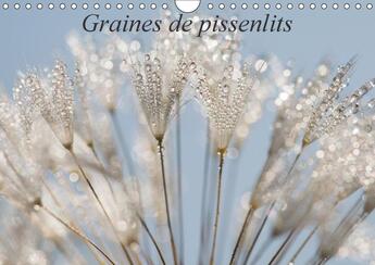 Couverture du livre « Graines de pissenlits calendrier mural 2018 din a4 horizonta - photos macro de graines de pis » de Brosseau Matoss aux éditions Calvendo