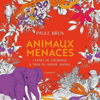 Couverture du livre « Animaux menacés : Carnet de coloriage & tour du monde animal » de Paule Brun aux éditions Marabout