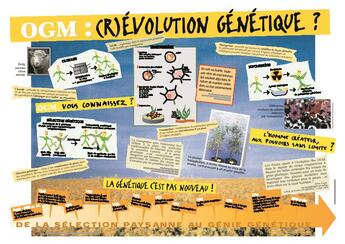 Couverture du livre « OGM : (r)évolution génétique ? » de Michel Huber aux éditions Educagri