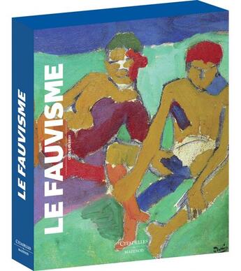 Couverture du livre « Le fauvisme » de Cecile Debray aux éditions Citadelles & Mazenod