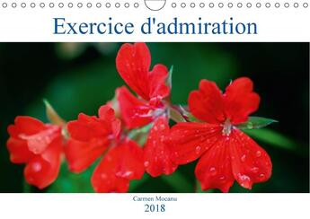 Couverture du livre « Exercice d admiration calendrier mural 2018 din a4 horizontal » de Mocanu C aux éditions Calvendo