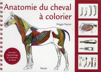 Couverture du livre « Anatomie du cheval à colorier » de Raynor aux éditions Vigot