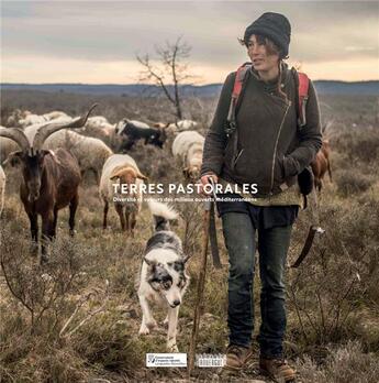 Couverture du livre « Terres pastorales ; diversité et valeurs des milieux ouverts méditerranéens » de  aux éditions Rouergue