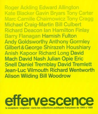 Couverture du livre « Effervescence - la sculpture anglaise dans les collections francaises » de  aux éditions Somogy