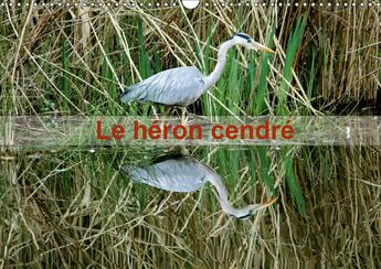 Couverture du livre « Portrait d un oiseau le heron » de Patrick Casaert aux éditions Calvendo