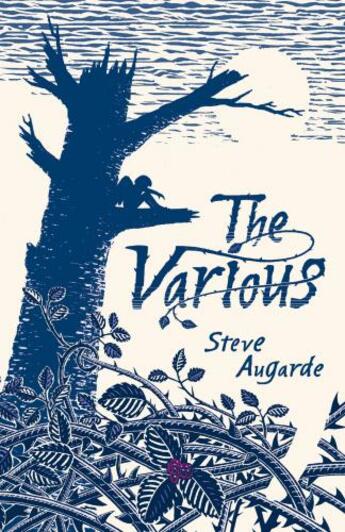 Couverture du livre « The Various » de Augarde Steve aux éditions Rhcb Digital