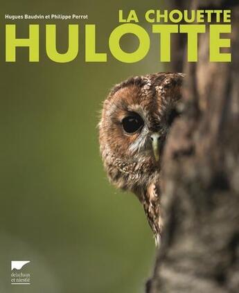 Couverture du livre « La chouette hulotte » de Philippe Perrot et Hugues Baudvin aux éditions Delachaux & Niestle