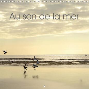 Couverture du livre « Photographies de bords de mer » de Thebault Patric aux éditions Calvendo