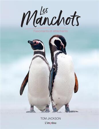 Couverture du livre « Les manchots ; fascinants et attachants » de Tom Jackson aux éditions L'imprevu