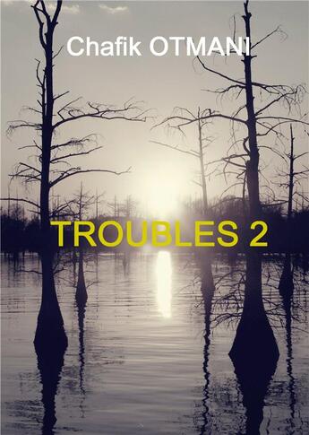 Couverture du livre « Troubles t.2 ; rêve en peinture - dernier round - la nuit du cavalier - rendez-vous avec la mort » de Otmani Chafik aux éditions Books On Demand