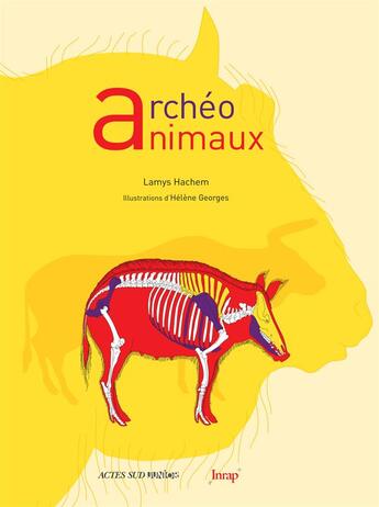 Couverture du livre « Archéo animaux » de Helene Georges et Lamys Hachem aux éditions Actes Sud Junior