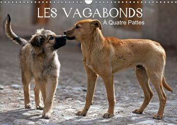 Couverture du livre « Les vagabonds a quatre pattes calendrier mural 2018 din a3 h - des photos inhabituelles de no » de Henry P aux éditions Calvendo