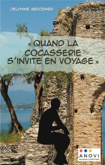 Couverture du livre « Quand la cocasserie s'invite en voyage » de Delphine Mercenier aux éditions Anovi