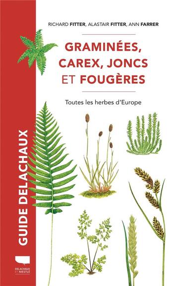 Couverture du livre « Guide Delachaux : Graminées, carex, joncs et fougères : Toutes les herbes d'Europe » de Richard Fitter et Alastair Fitter et Ann Farrer aux éditions Delachaux & Niestle