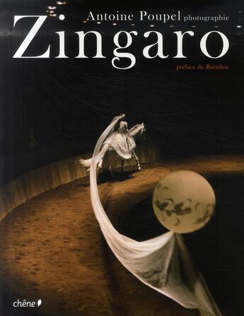 Couverture du livre « Zingaro » de Antoine Poupel aux éditions Chene