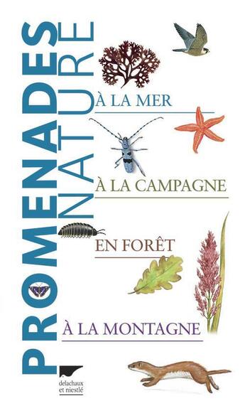 Couverture du livre « Promenades nature ; à la mer, à la campagne, en forêt, à la montagne » de  aux éditions Delachaux & Niestle