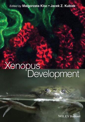 Couverture du livre « Xenopus Development » de Malgorzata Kloc et Jacek Z. Kubiak aux éditions Wiley-blackwell