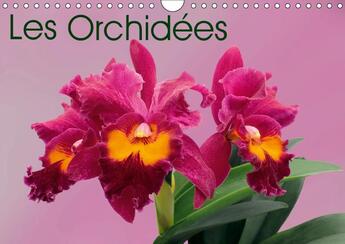 Couverture du livre « Les orchidees calendrier mural 2018 din a4 horizontal - les orchidees exotiques calend » de Monarchc aux éditions Calvendo