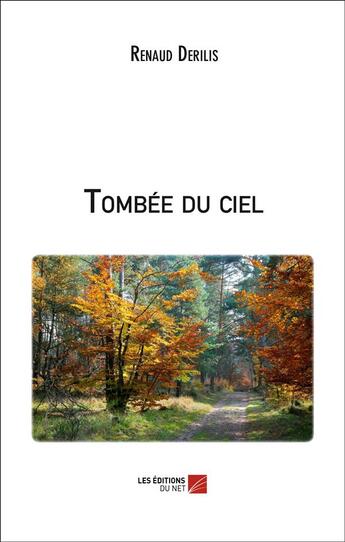 Couverture du livre « Tombée du ciel » de Renaud Derilis aux éditions Editions Du Net