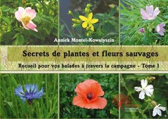 Couverture du livre « Secrets de plantes et fleurs sauvages t.1 ; recueil pour vos balades à travers la campagne » de Annick Montel-Kowalyszin aux éditions Edilivre