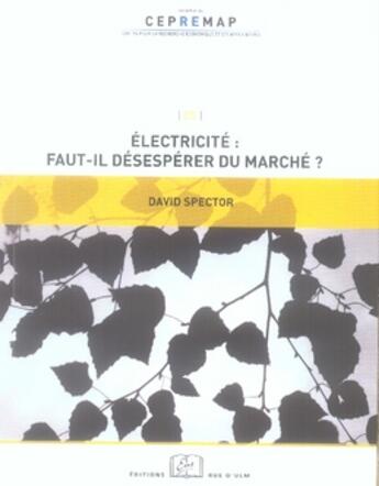 Couverture du livre « Électricité : faut il désespérer du marché ? » de David Spector aux éditions Rue D'ulm