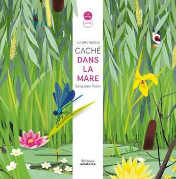 Couverture du livre « Caché dans la mare » de Juliette Vallery et Sebastien Pelon aux éditions Amaterra