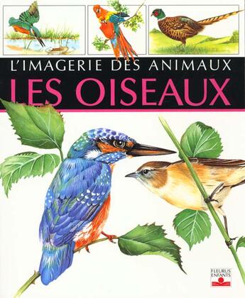 Couverture du livre « Oiseaux » de Beaumont/Selley aux éditions Fleurus