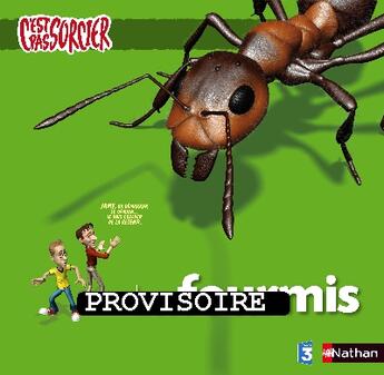 Couverture du livre « Les fourmis » de Ousset/Holl aux éditions Nathan