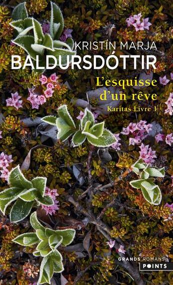Couverture du livre « Karitas, l'esquisse d'un rêve » de Kristin Marja Baldursdottir aux éditions Points