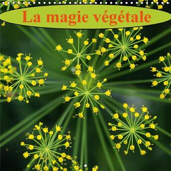 Couverture du livre « La magie vegetale calendrier mural 2018 300 300 mm square - fleurs et flore un feu d artif » de Sibourg D aux éditions Calvendo