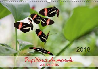 Couverture du livre « Papillons du monde vus de pres calendrier mural 2018 din a3 - portraits de douze papillons a » de Zeidler T aux éditions Calvendo