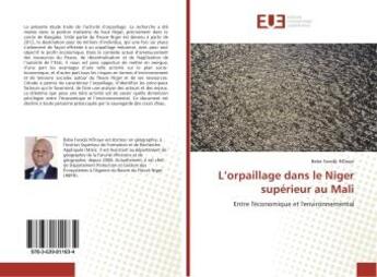 Couverture du livre « L'orpaillage dans le Niger superieur au Mali : Entre l'economique et l'environnemental » de Baba Ndiaye aux éditions Editions Universitaires Europeennes