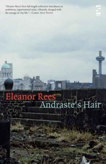 Couverture du livre « Andraste146;s Hair » de Rees Eleanor aux éditions Salt Publishing Limited