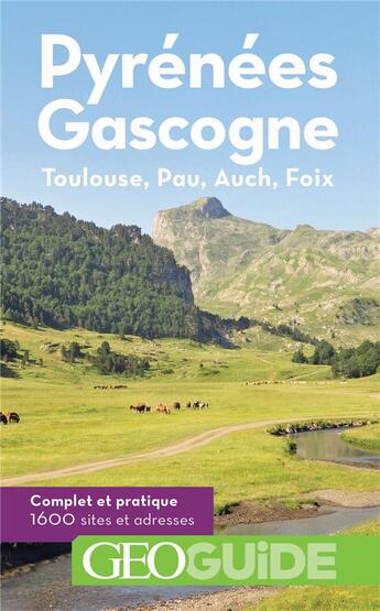 Couverture du livre « GEOguide ; Pyrénées Gascogne ; Toulouse, Pau, Auch, Foix » de Collectif Gallimard aux éditions Gallimard-loisirs