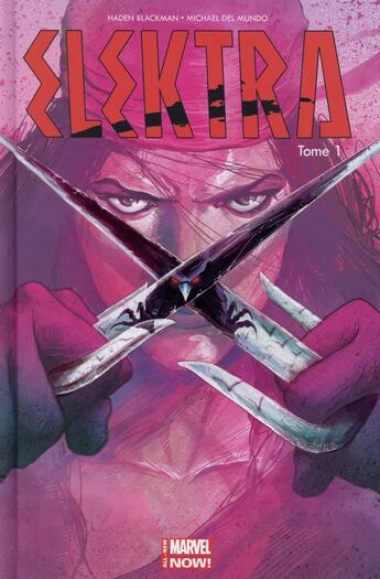 Couverture du livre « Elektra ; all new marvel now t.1 » de Mike Del Mundo et Haden Blackman aux éditions Panini