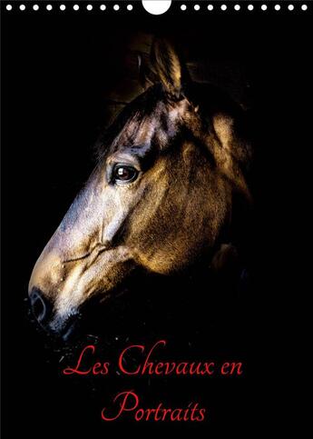 Couverture du livre « Chevaux en Portraits (Calendrier mural 2020 DIN A4 vertical) ; Portraits de chevaux en liberté et studio (Calendrier mensuel, 14 Pages ) » de Xavier Bertrand aux éditions Calvendo