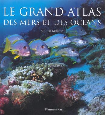 Couverture du livre « Le grand atlas des mers et des océans » de Mojetta Angelo-Renat aux éditions Flammarion