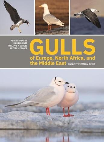 Couverture du livre « GULLS OF EUROPE, NORTH AFRICA, AND THE MIDDLE EAST - AN IDENTIFICATION GUIDE » de Philippe J. Dubois et Peter Adriaens et Mars Muusse aux éditions Princeton University Press