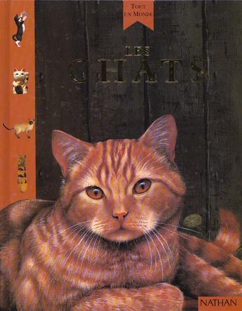 Couverture du livre « Chats » de Amanda O'Neill aux éditions Nathan