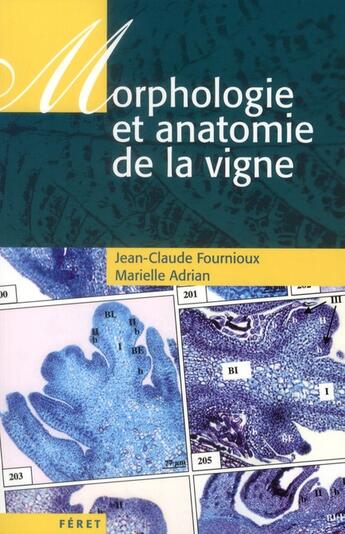 Couverture du livre « Morphologie et anatomie de la vigne » de Adrian Fournioux aux éditions Feret