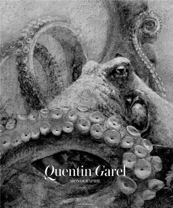 Couverture du livre « Quentin Garel ; monographie » de Alin Avila et Christine Argot et Pierre-Jacques Pernuit aux éditions Albin Michel