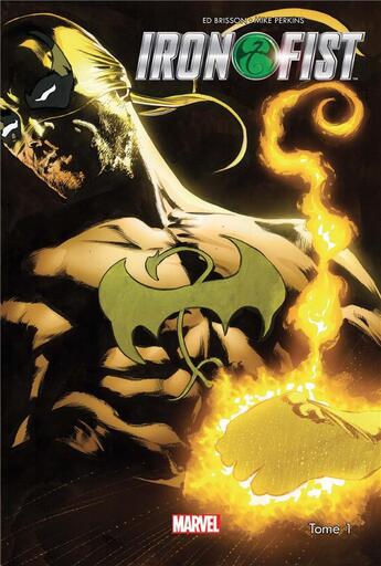 Couverture du livre « Iron Fist t.1 » de Ed Brisson et Mike Perkins aux éditions Panini