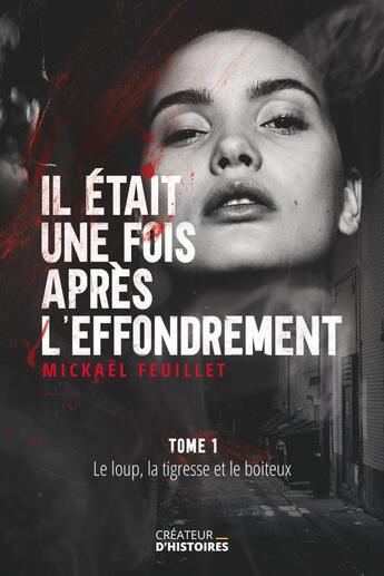 Couverture du livre « Il était une fois après l'effondrement » de Mickaël Feuillet aux éditions Thebookedition.com