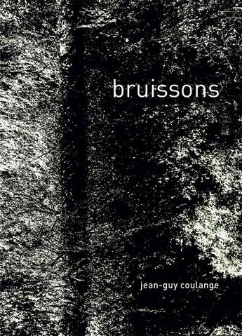 Couverture du livre « Bruissons » de Jean-Guy Coulange aux éditions Les Presses Du Reel