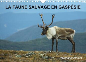 Couverture du livre « La faune sauvage en gaspesie calendrier mural 2020 din a4 horizontal - bienvenue dans le monde des a » de Amiard Veroniqu aux éditions Calvendo