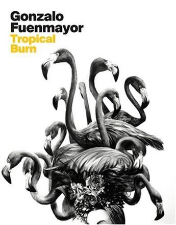 Couverture du livre « Gonzalo fuenmayor: tropical burn » de Fuenmayor Gonzalo aux éditions Dap Artbook